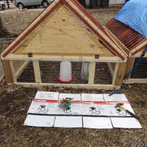 This is the front view of my mostly finished chicken tractor.  The upper triangle is the fold down door.  In the winter they will go into my barn and with some tarps and straw bales they can be used either as a breeding pen or to raise my chicks in after they are out of the brooder.