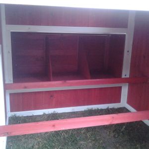 Inside we plan to put a ply wood base like the loft on top of the roosts we will close off the nesting boxes and door wit fuzzy chicks in here.