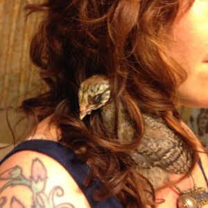 Raz loves hiding in my hair!