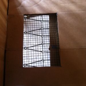 Plastic covered mesh wire taped between cardboard sheets