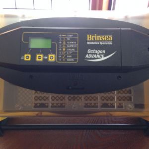 2nd Octagon 20 Advance