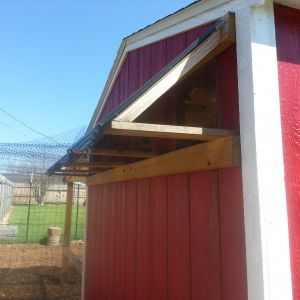 Windows and awning outside at back. My husband is not a carpenter but he really went to work designing and building all these additions to make the chickens safe and comfortable. He didn't want rain blowing in on them and getting the inside wet. And to think he couldn't understand why I wanted to raise a bunch of nasty chickens - now he really is glad we have them.