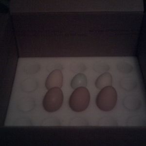 egg thanks to packaging are still OK!!