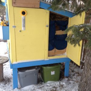 Side doors for easy access to nest box and for cleaning.  Blocked and insulated for the deep winter (-26 F) though.  The vents are on both sides,one is uncovered, one the wood panel nailed up is an inch out from the opening for air movement.