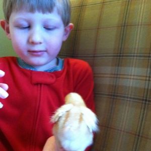 Amelia exploring Rowan's arm