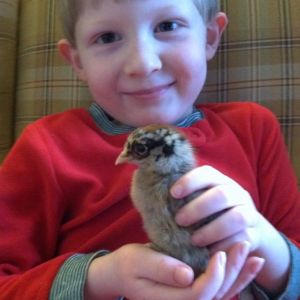 Rowan holding his chick, Clara