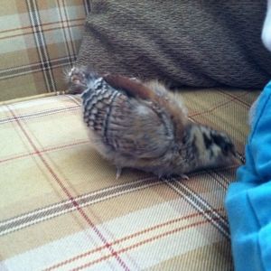 Excuse me, I believe you're sitting on something!