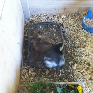 And Morgaine decides to join in