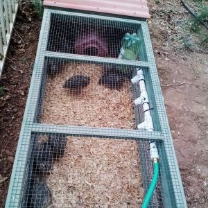 Watering system my husband made after I found this tutorial....http://sharidenise.hubpages.com/hub/Watering-Chickens