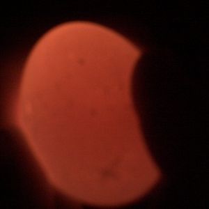 rir egg #1 looks clear :( but it is only day 6 and the egg is brown