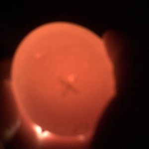 moving air cell rir egg #3