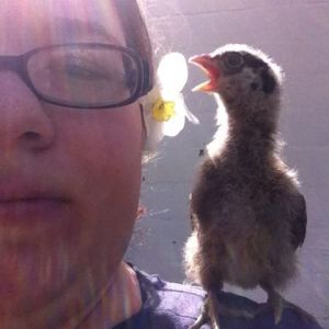 First day out for Clara, she's bewildered