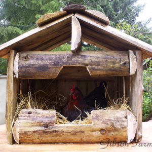 Log Cabin nesting box