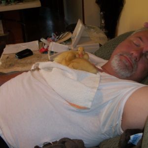 Daddy taking a nap with piddle and Jiggle