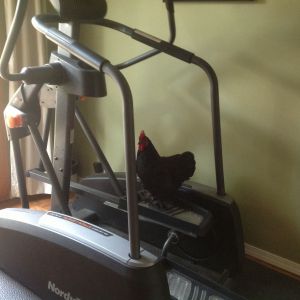 Oliver getting in a little exercise!!