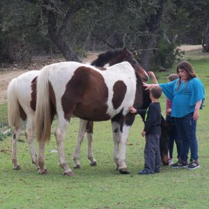 Daisy with her filly Legs, my 3 grandkids love the horses