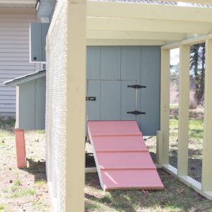 chicken door & run.