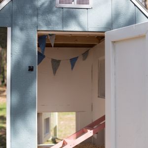 filled with pine and ready for some gals!