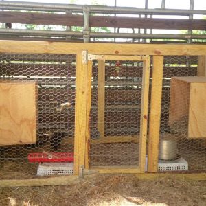 Our new chicken coup. My son and I built it to raise chicks in.