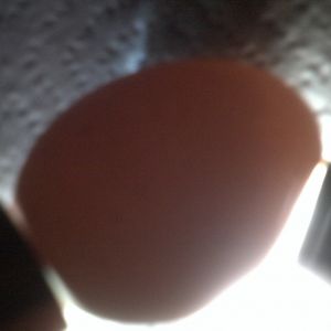 RIR#2 egg candleing Day14 nothing at all (no veins no movement)
