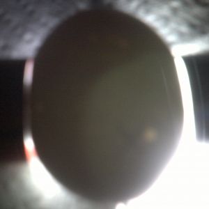 Blue bantam egg candleing Day14 nothing at all (no veins no movement) second largest air cell