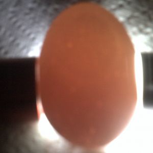 Creme bantam egg candleing Day14 nothing at all (no veins no movement) tiny moving air cell