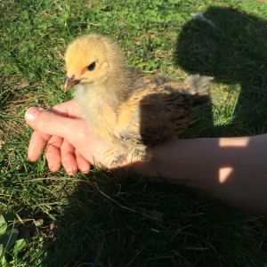 perfectly content to stay on my arm in the sun.