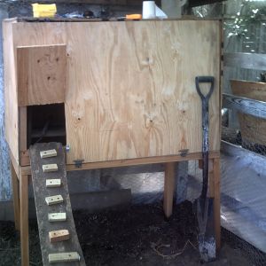 finshed coop before starting bottom brooder area