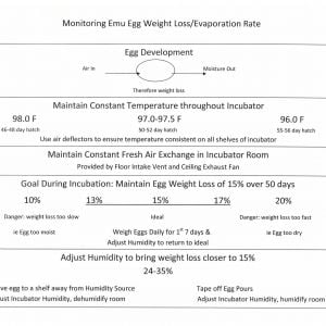 Monitoring Emu Egg Weight Loss/Evaporation Rate