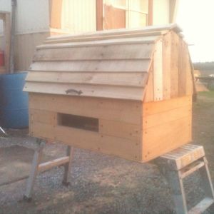 My Brooder, used a dresser I found on the side of the road and some pallet wood.