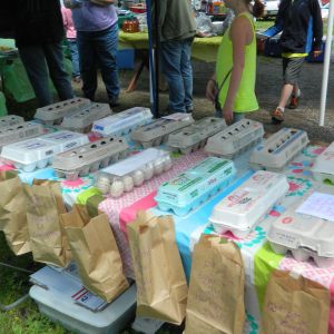 Got hatching eggs???  Baking cleaned up on that raffle table!