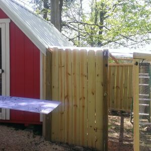 The coop with run. We used plastic patio cover for the top of the run. Its clear which lets the sun in while keeping critters out.