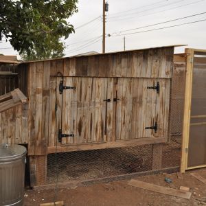 My coop.  Almost entirely made of recycled fence and lumber.  8X8 with 5 nesting boxes on the rear. 7ft tall at the front and 6ft at the back.  It has a slide out  bottom so dropping snd such can be dropped below and raked out.  They have the run of the underneath and the run itself.  Long and tedious process because I had to find the straight pieces of lumber.  It would have been so much quicker if I had used new wood.