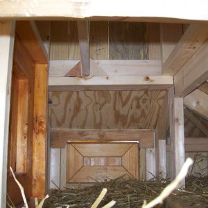 Roosting rod on inside of hen house. Already discovered that I need another roosting rod somewhere.
