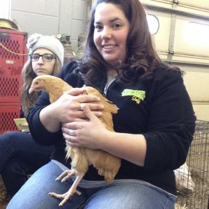 Jacey at at the Northwestern FFA Petting zoo!