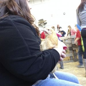 She loves being held :)