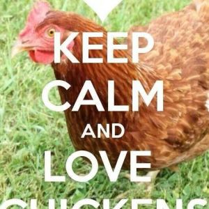 keep calm, and love chickens ;)