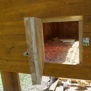 The egg door, accessible from the outside of the coop.  We don't have roost or an nesting box yet.  The hens are only 6-7 weeks old.  They do have a roost in the run.