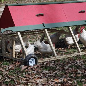 This is our signature model, the "A" frame Chicken Tractor It is 3' high 4' wide 10' long and can easily accommodate 8 - 10 medium to large breed chickens. The cost is only $350 plus shipping cost which will be set on a case by case manor. Give us a call if you are interested in purchasing one for yourself 225-788-1707