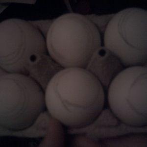 small air cells? too small for duck egg's?