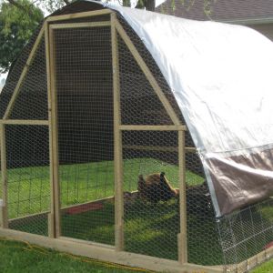 Completed hoop coop.  Tarp can be raised or lowered on sides as needed.