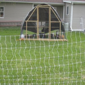Safe inside electric mesh fence