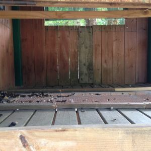 I cut a hole under the roost and applied mesh wire to allow there dropping to fall below. A quick pass with a shop broom will bring down any droppings that are stuck in mesh.