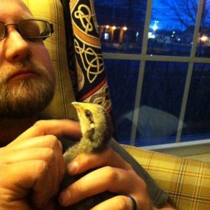 Day 21, the husband with Victoria.  This was actually the evening he revealed her name to us, he had been sitting on it for a long time.  Rowan and I previously referred to her as Little Dorking.