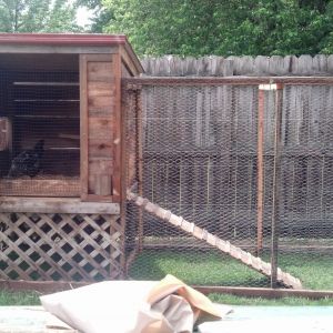another view of the coop. I used plastic mesh to make a type of "screen door" for ventilation on hot muggy days
