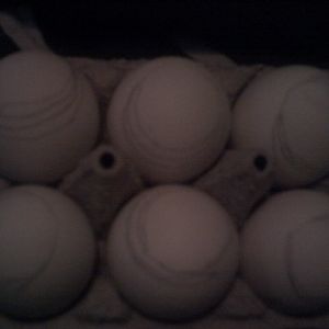 here is a pic of the air cells then the individual egg's since my camera can't pick up anything but the air cell now..bummer