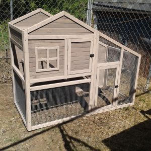 coop before roof and nesting box