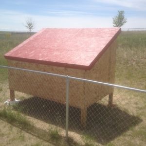 The roof after it has been painted.