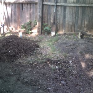 we buried Pete next to his old yard mate sally who died of complications with mange