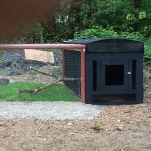 Our Chicken Coupe with attached Run